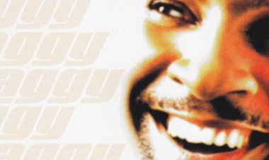 A Case Study: Shaggy's "Hotshot" and the RIAA Diamond certification